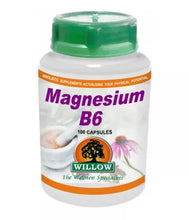 Magnesium B6 100 capsules