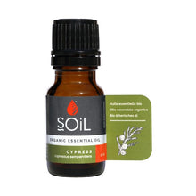 Cypress oil 10ml (Cupressus Sempervirens)